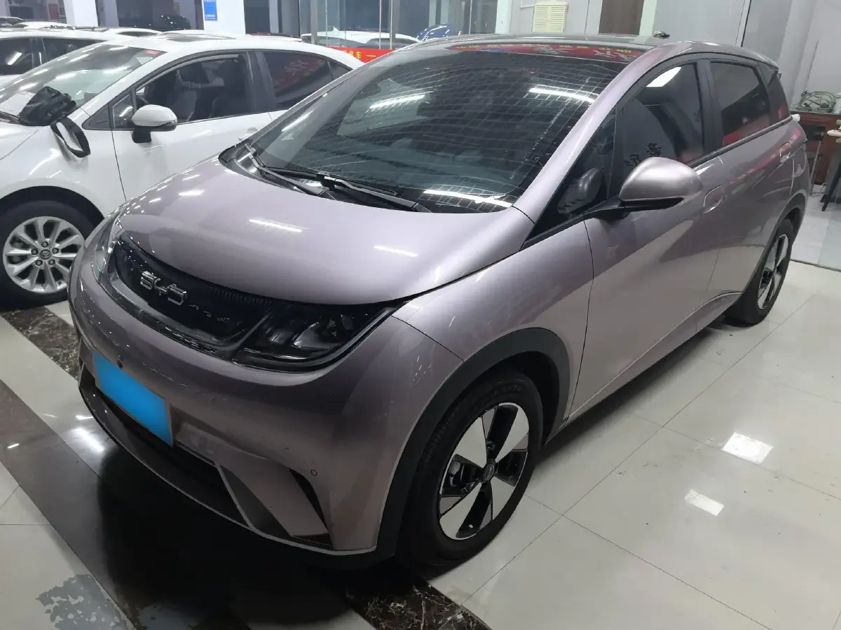2023 BYD Dolphin BEV 44.928KWH