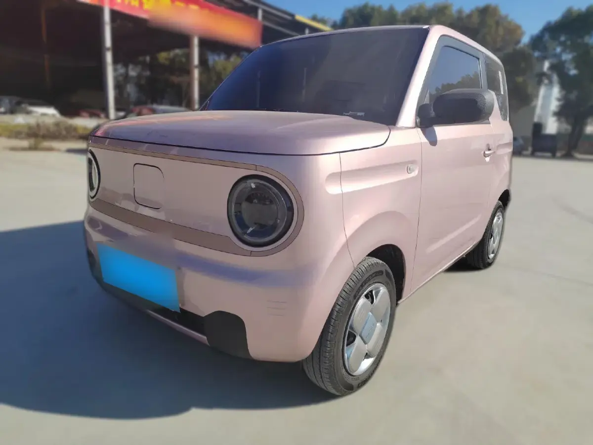 2024 Geely Panda BEV 17.03KWH