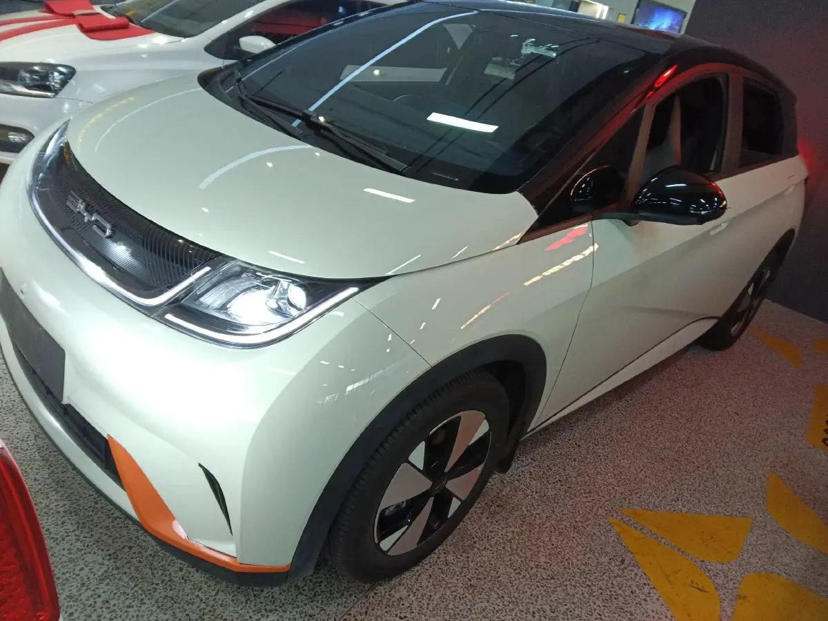 2023 BYD Dolphin BEV 44.928KWH