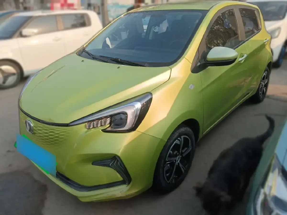 2020 ChangAn BenBen E-Star BEV 32.2KWH