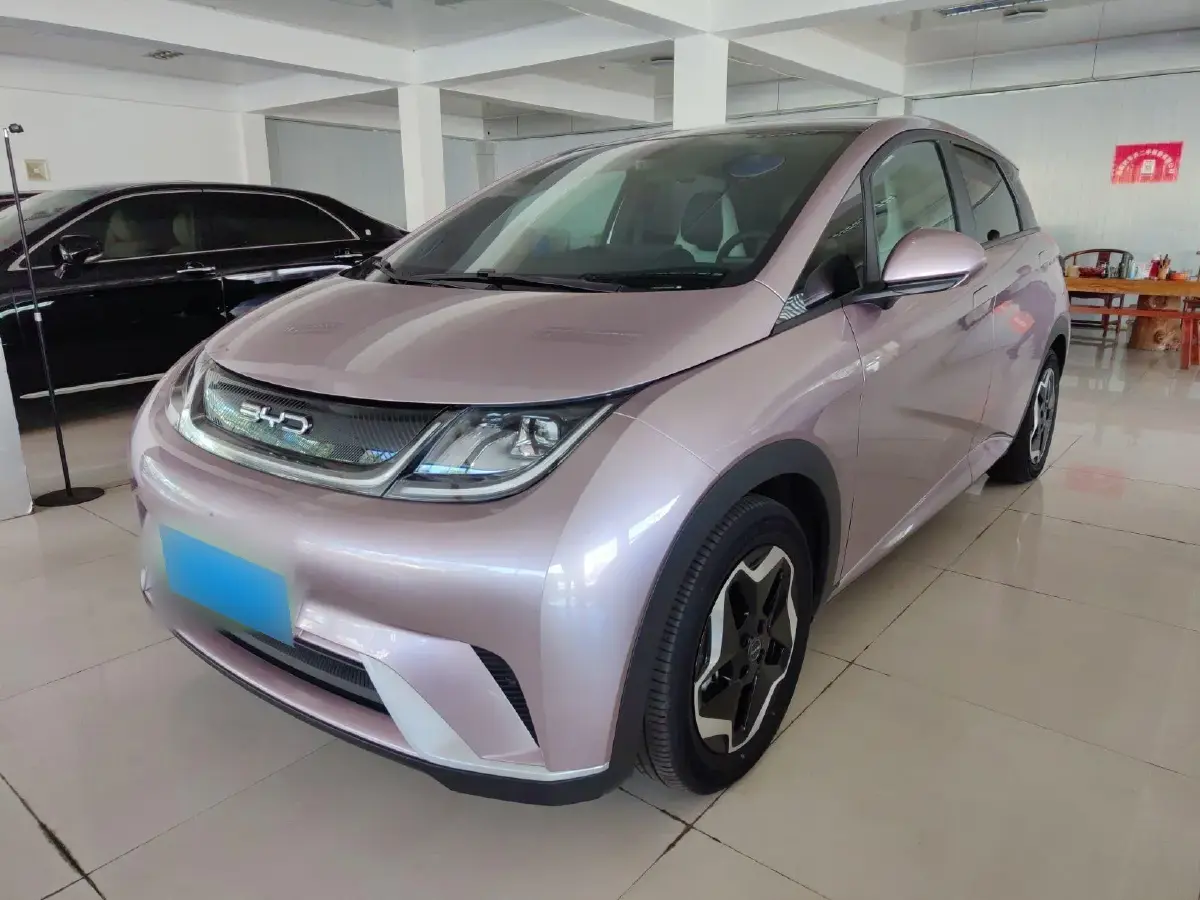 2021 BYD Dolphin BEV 44.9KWH