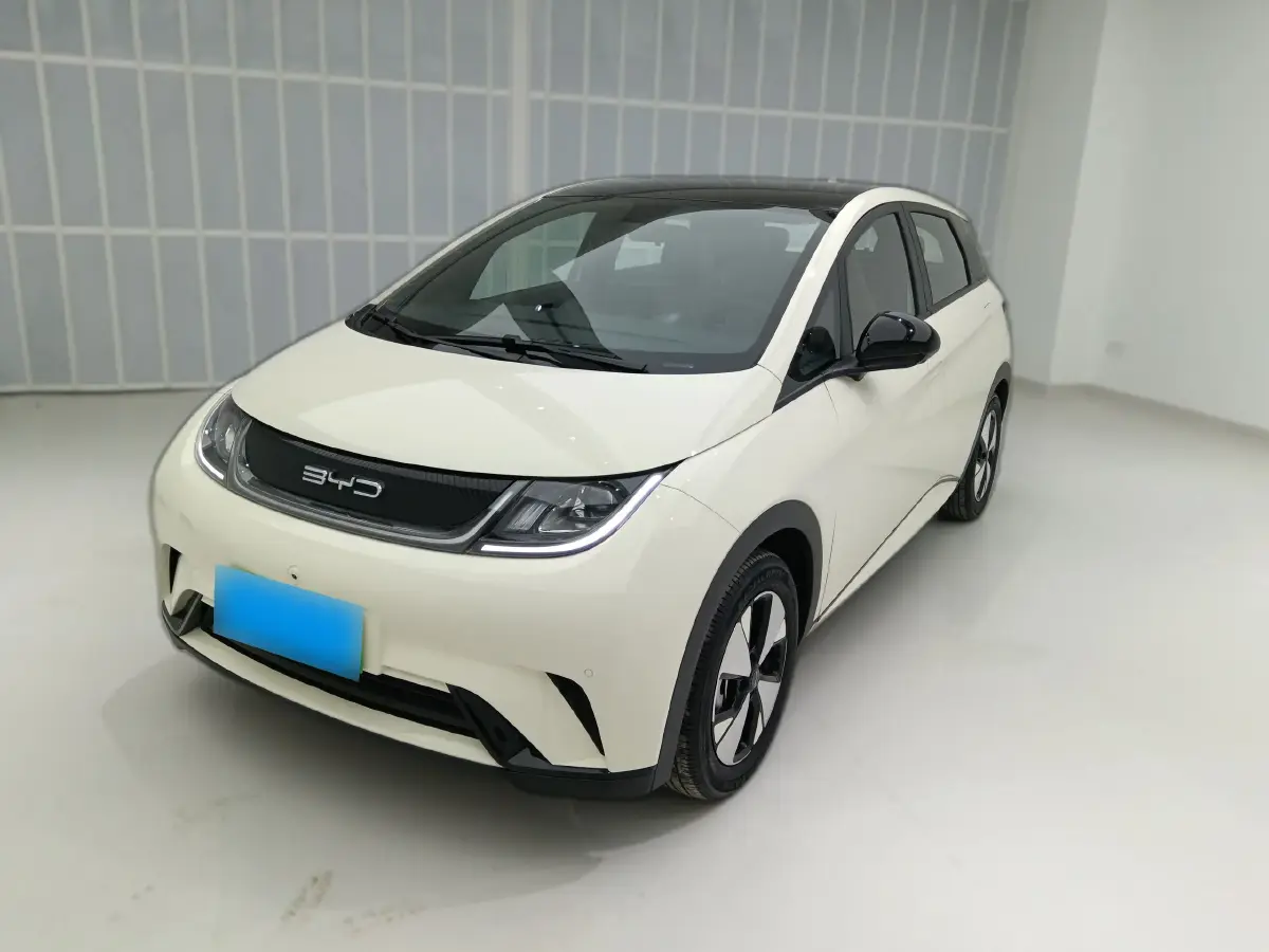 2023 BYD Dolphin BEV 44.928KWH