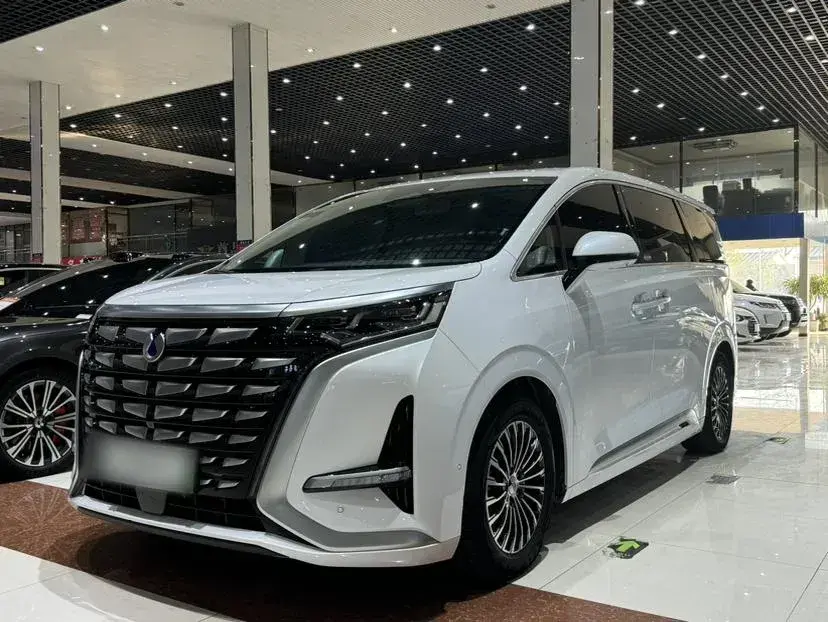 2022 Denza D9 1.5T 139HP L4 E-CVT PHEV 40.06KWH