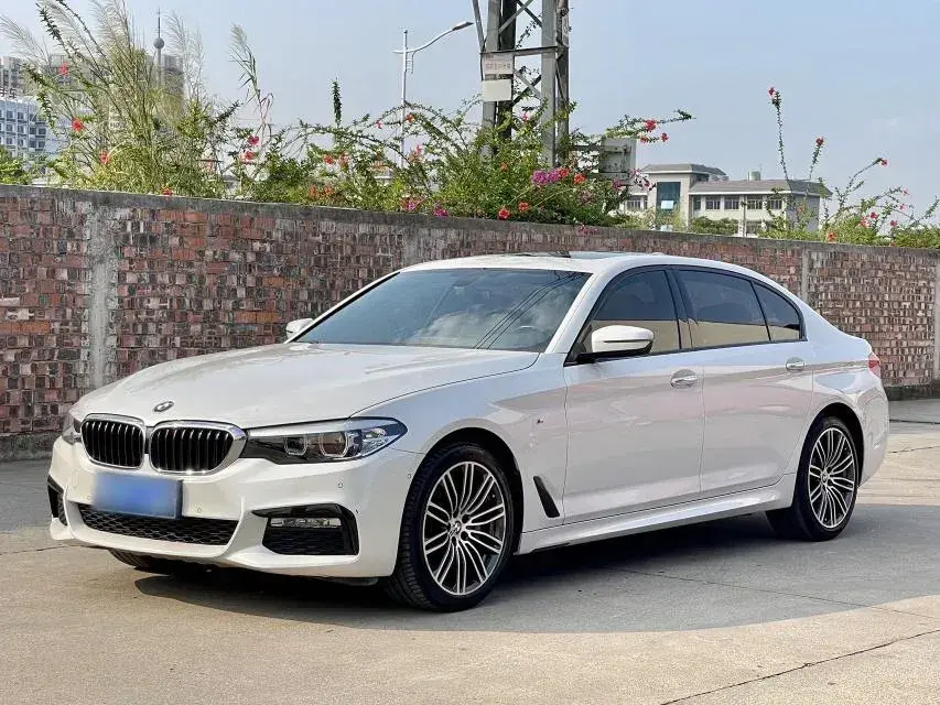 2018 BMW 5 Series 2.0T 252HP L4 8AT