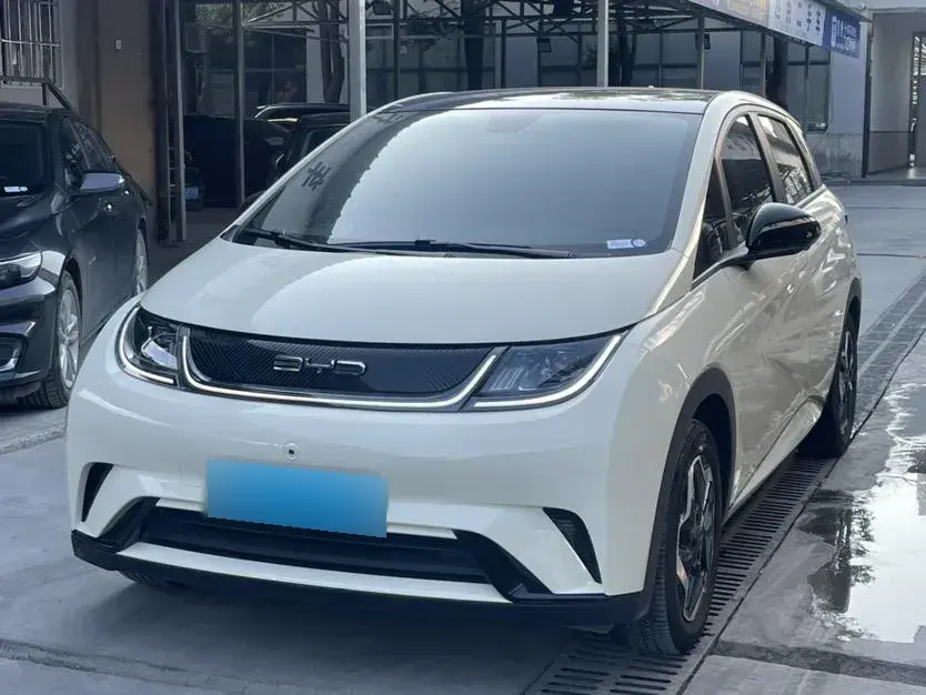 2021 BYD Dolphin BEV 44.9KWH