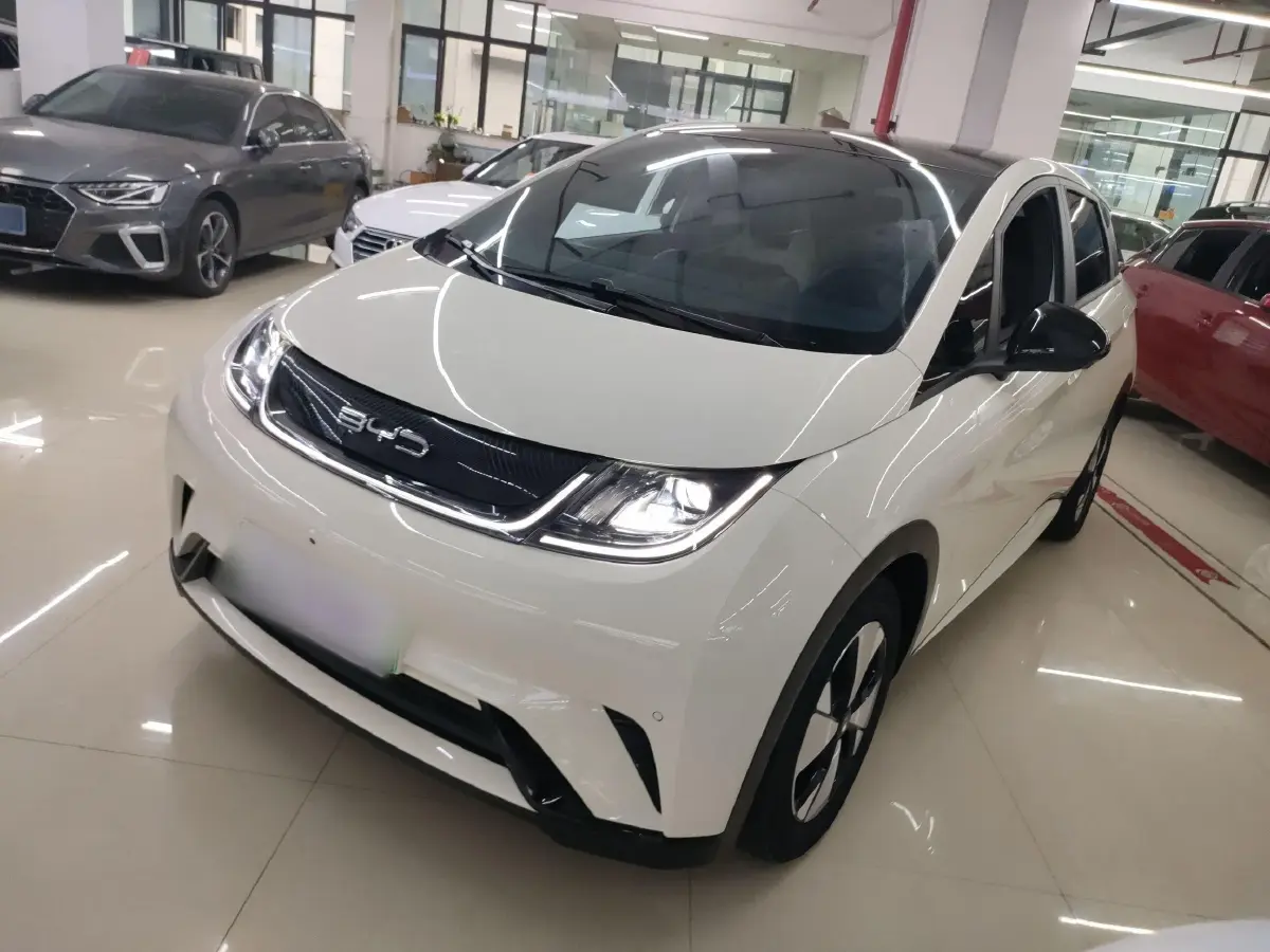 2023 BYD Dolphin BEV 44.928KWH
