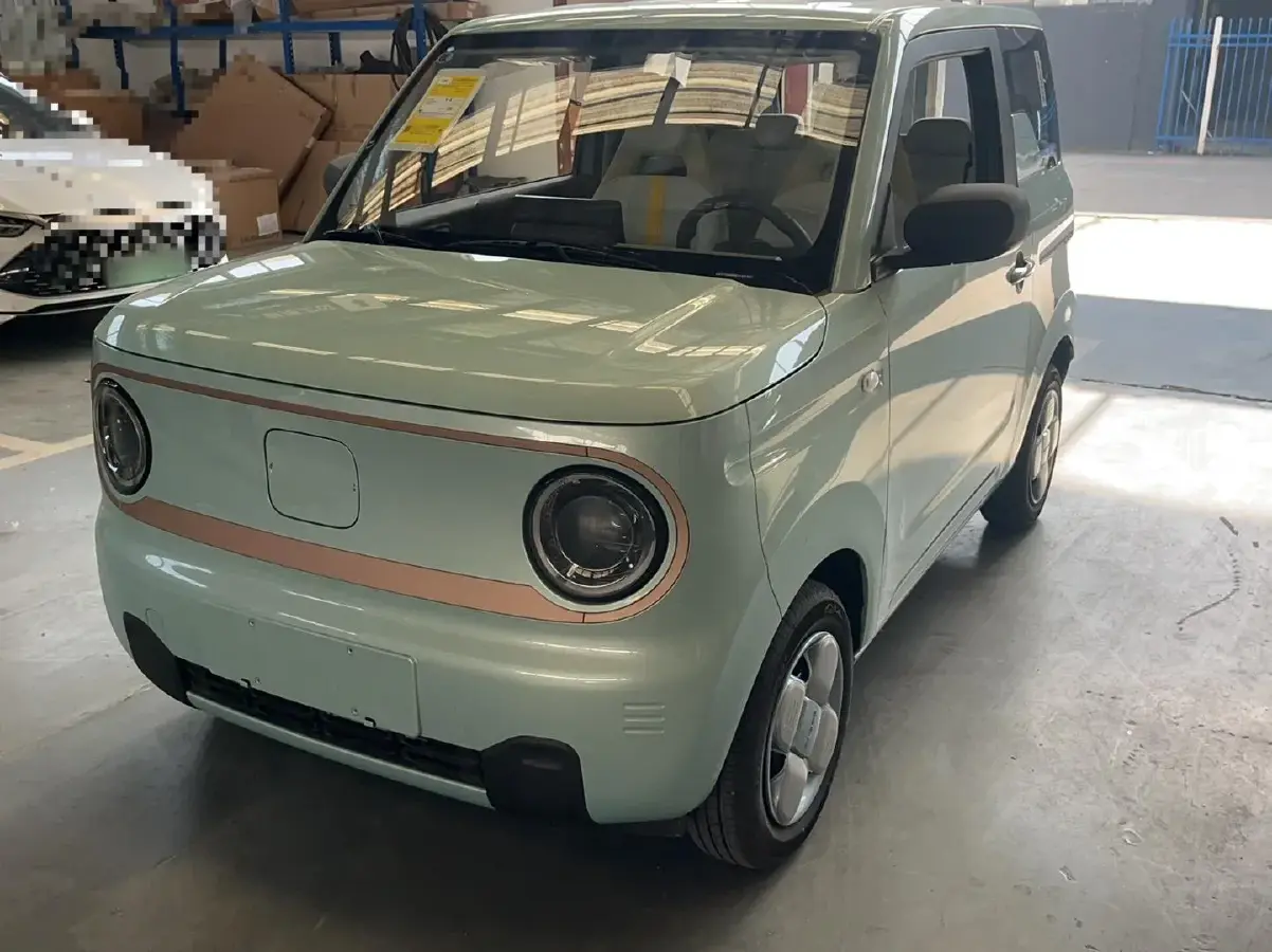2024 Geely Panda BEV 17.03KWH