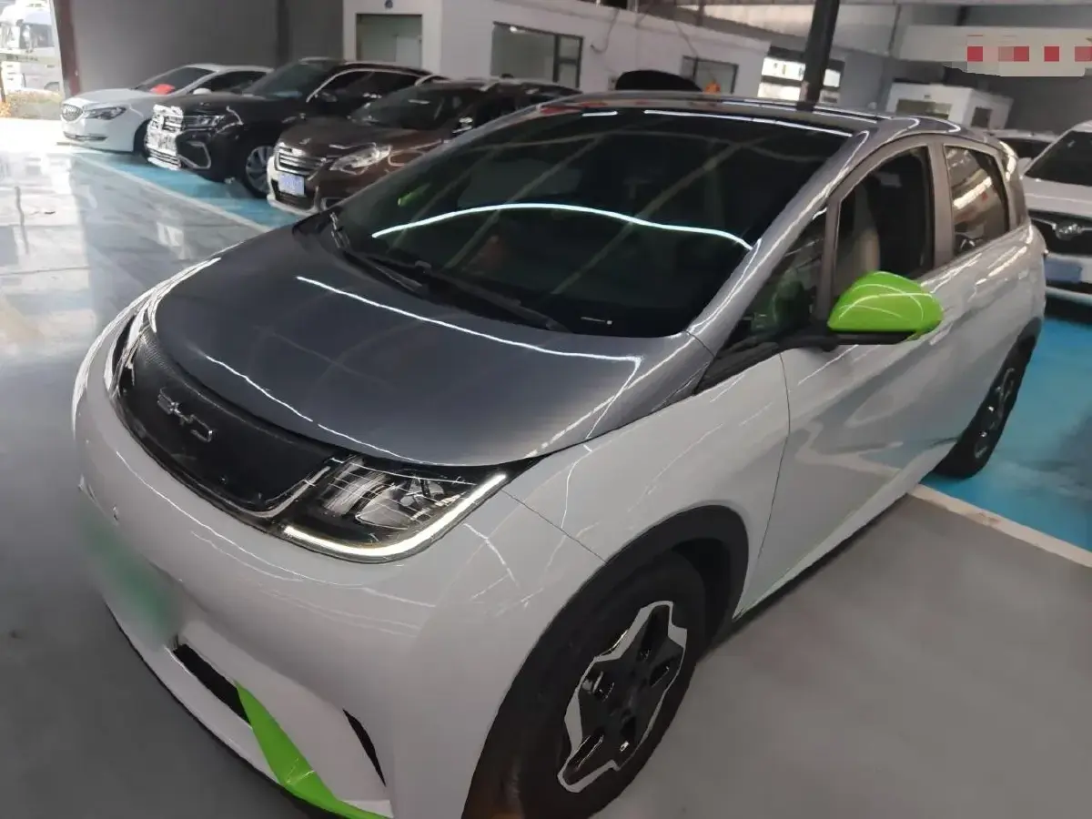 2021 BYD Dolphin BEV 44.9KWH