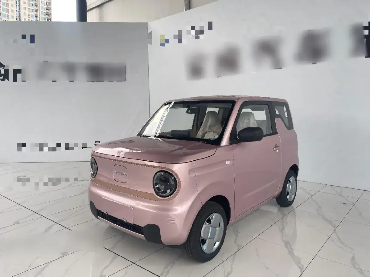 2024 Geely Panda BEV 17.03KWH