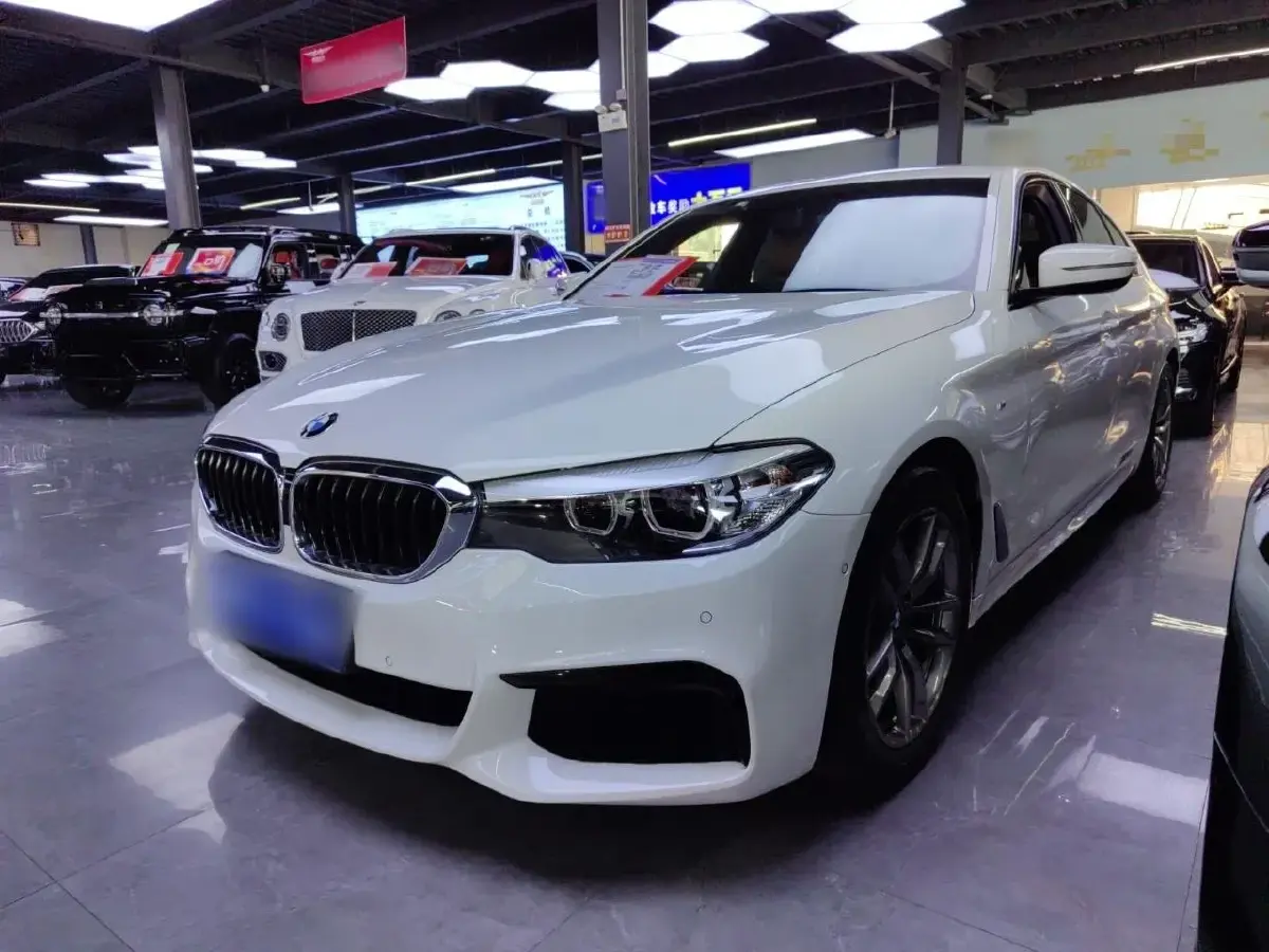2019 BMW 5 Series 2.0T 184HP L4 8AT