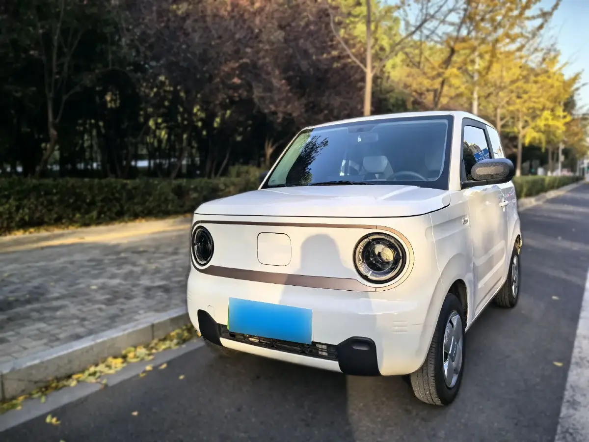 2023 Geely Panda BEV 17.03KWH