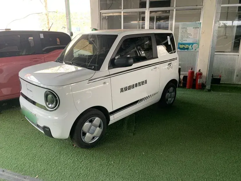2024 Geely Panda BEV 17.03KWH