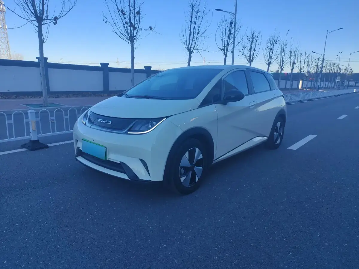 2023 BYD Dolphin BEV 44.928KWH