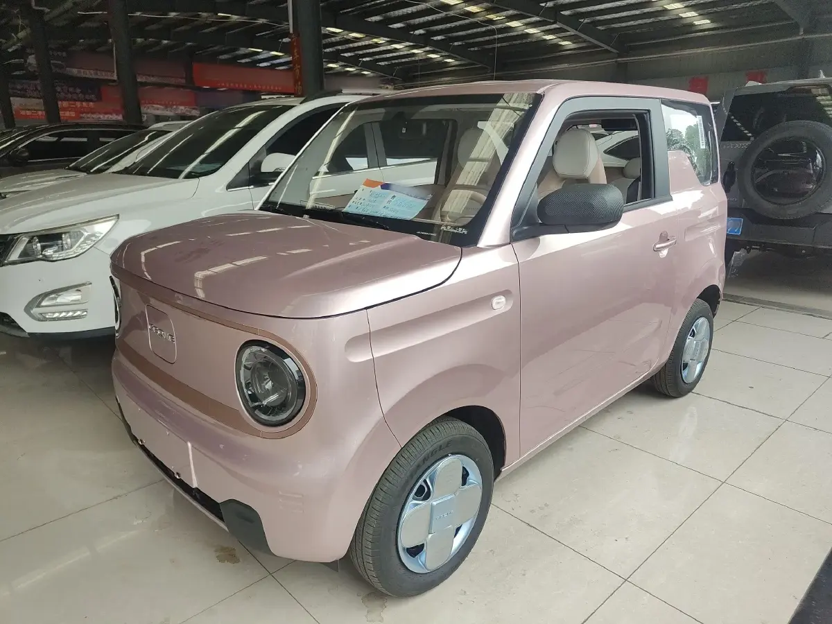2024 Geely Panda BEV 17.03KWH