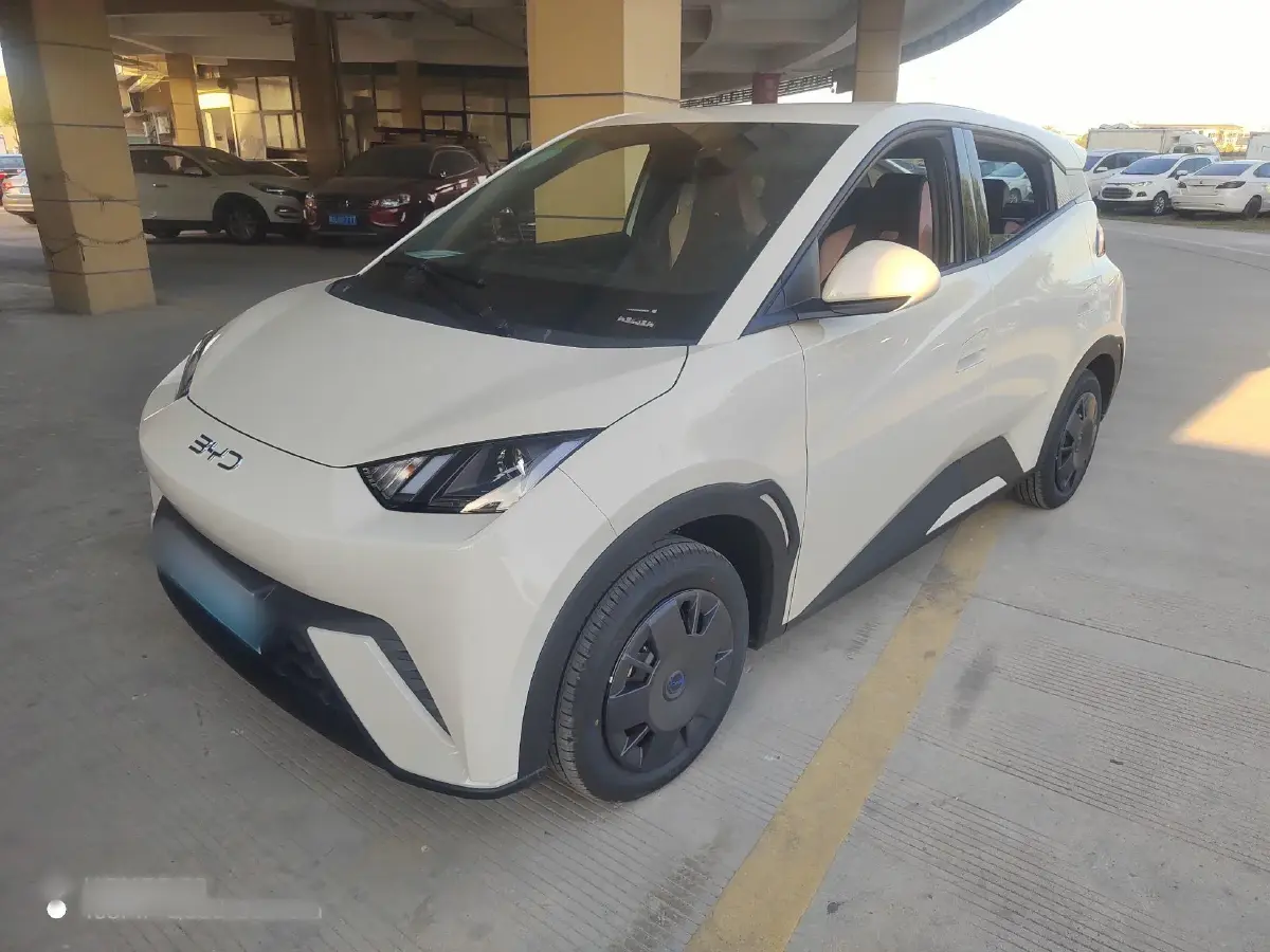 2024 BYD Seagull BEV 30.08KWH