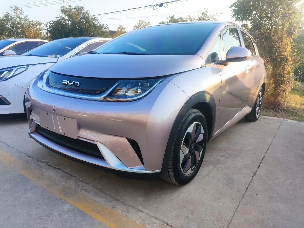 2025 BYD Dolphin BEV 44.928KWH