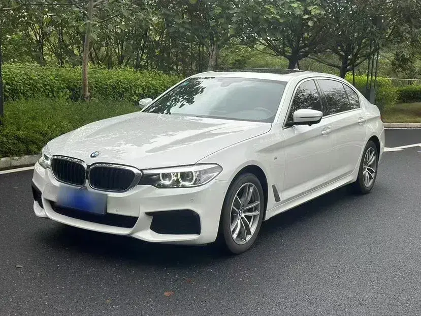 2020 BMW 5 Series 2.0T 184HP L4 8AT