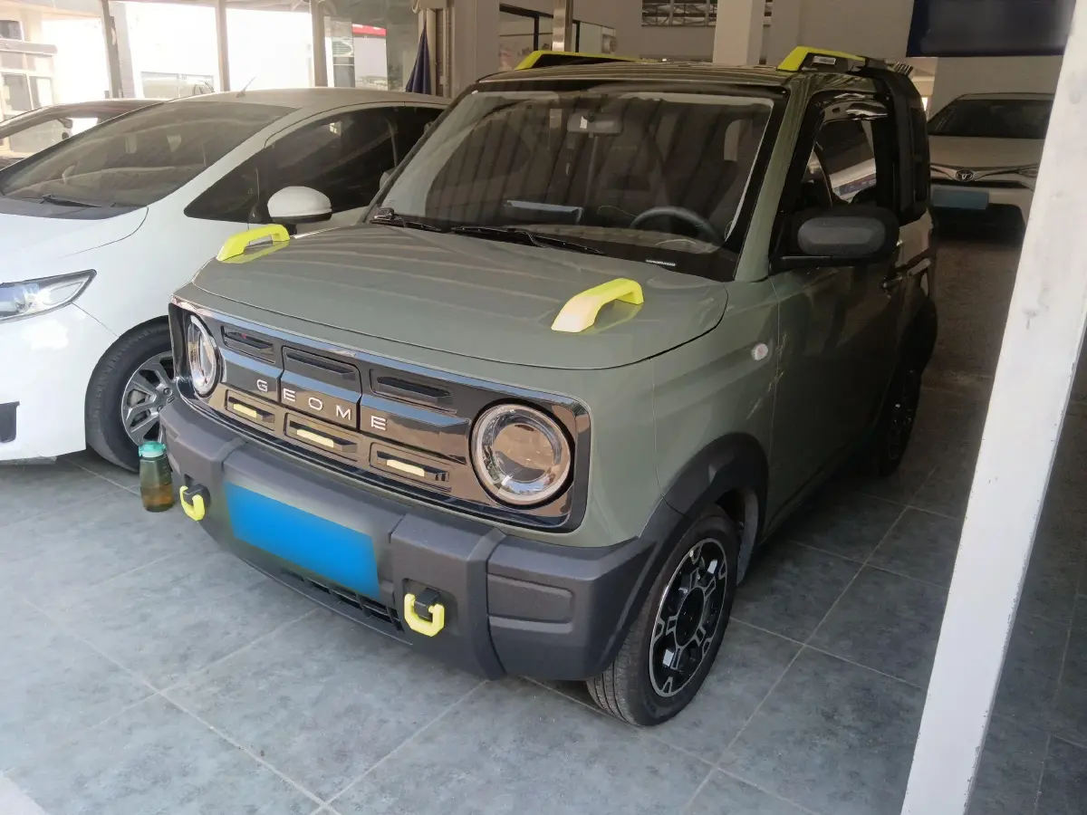 2024 Geely Panda BEV 17.03KWH