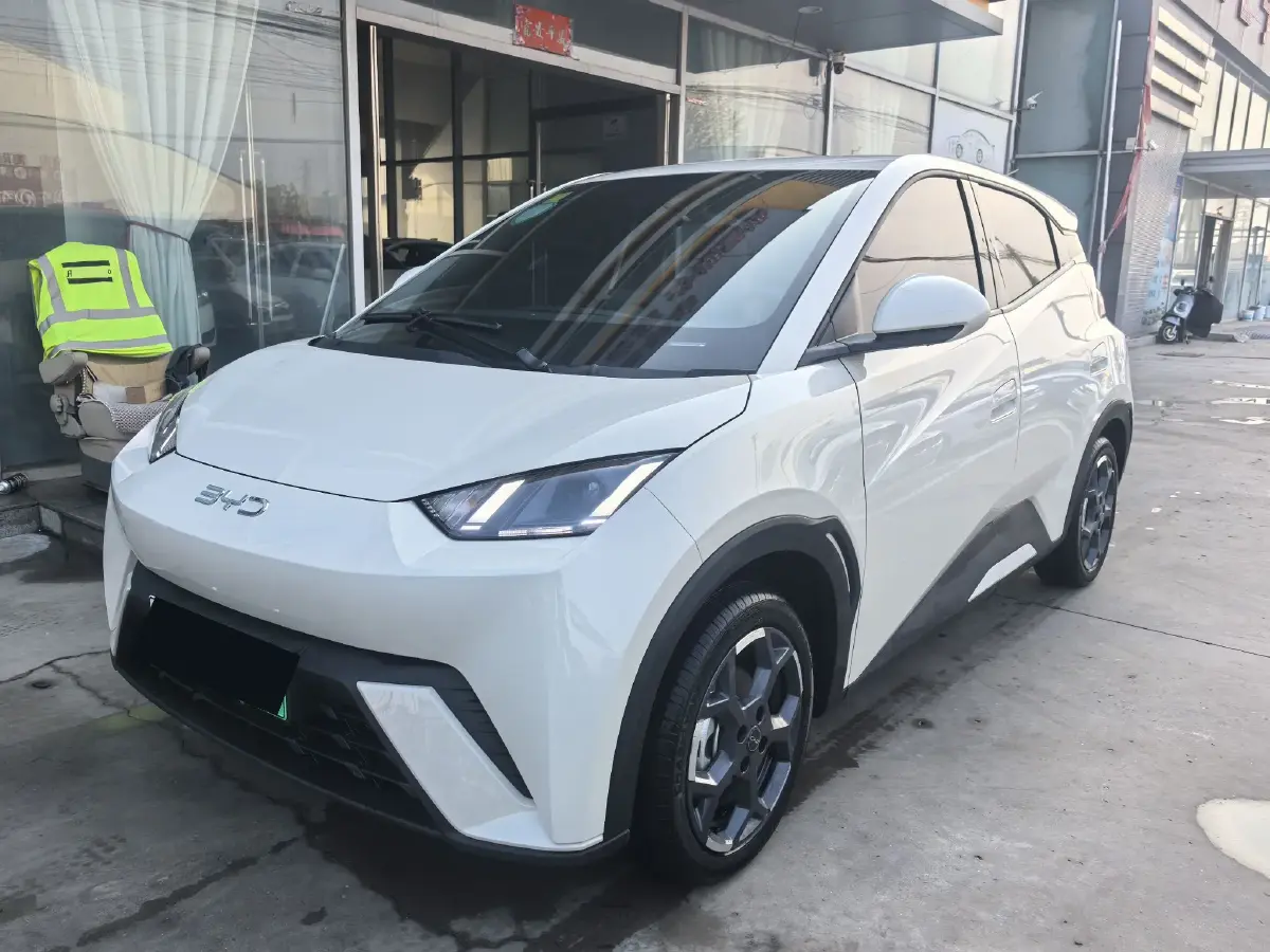 2025 BYD Seagull BEV 30.08KWH