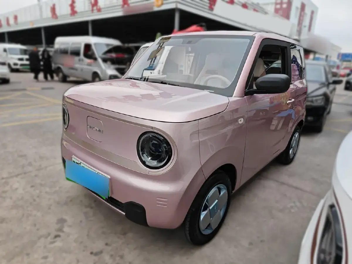 2023 Geely Panda BEV 17.03KWH