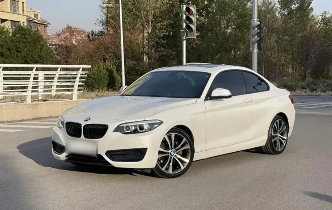 2019 BMW 2 Series 2.0T 184HP L4 8AT