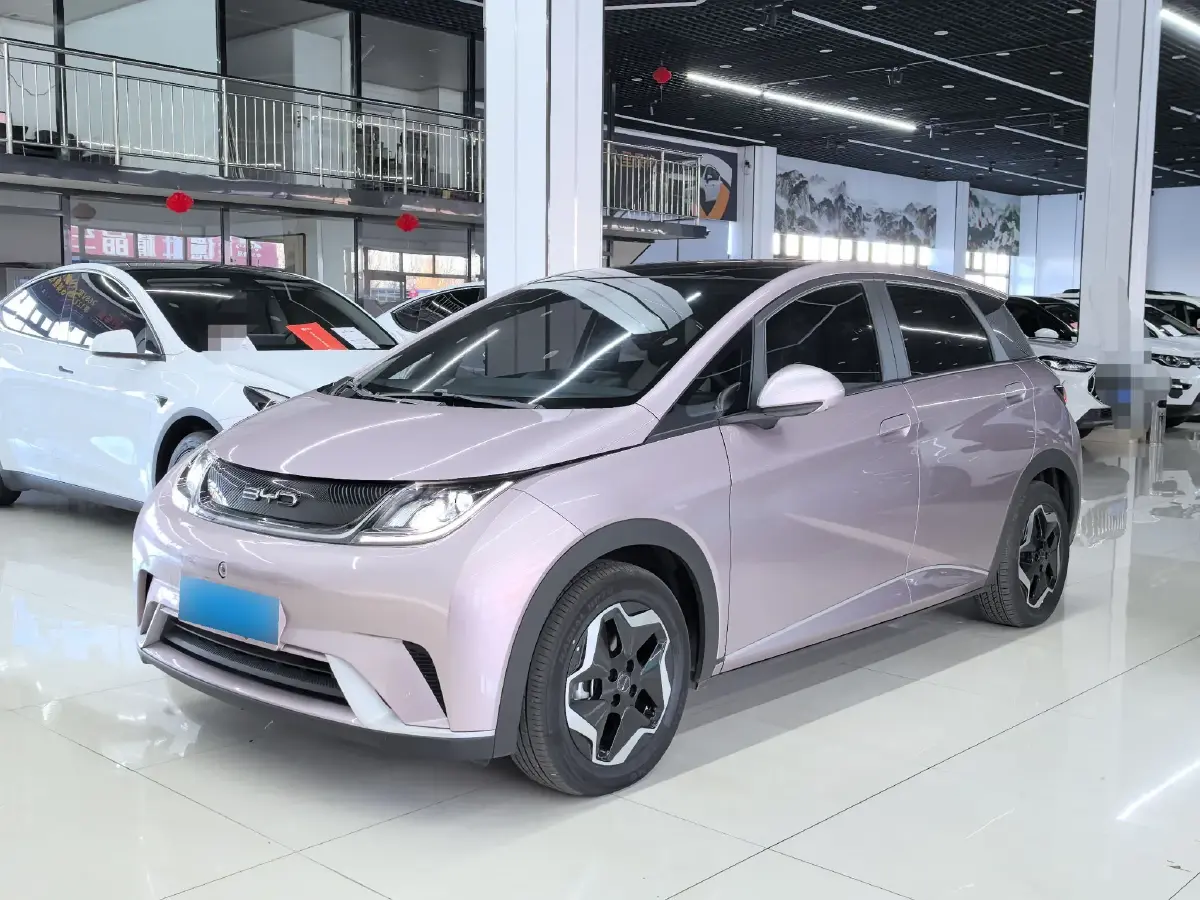 2021 BYD Dolphin BEV 44.9KWH