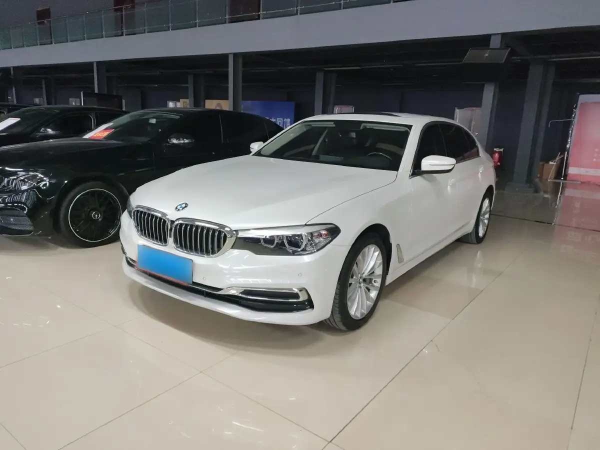 2019 BMW 5 Series 2.0T 252HP L4 8AT