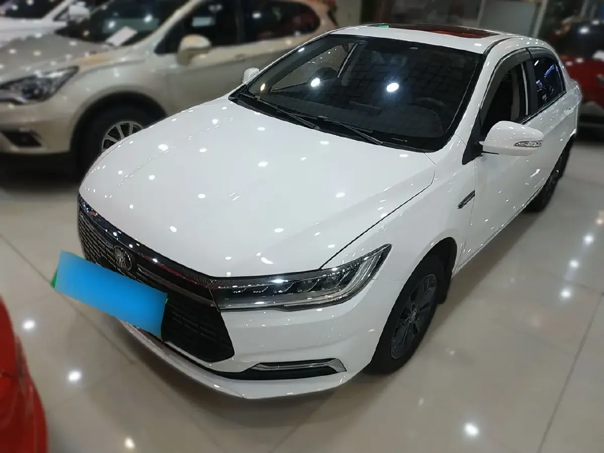 2019 BYD Qin BEV 53.1KWH