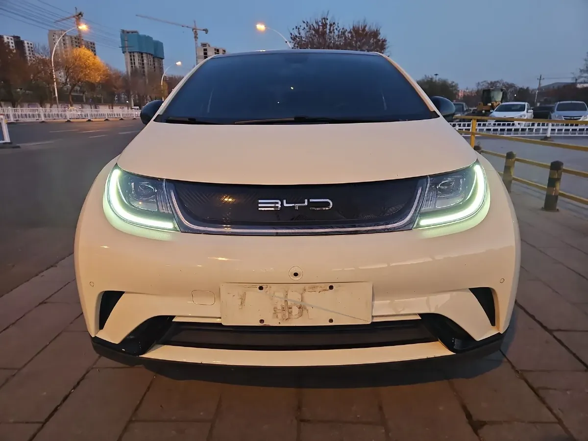 2023 BYD Dolphin BEV 44.928KWH,autocango,china used car exporter,china ev exporter,chinese used car exporter,chinese used ev exporter