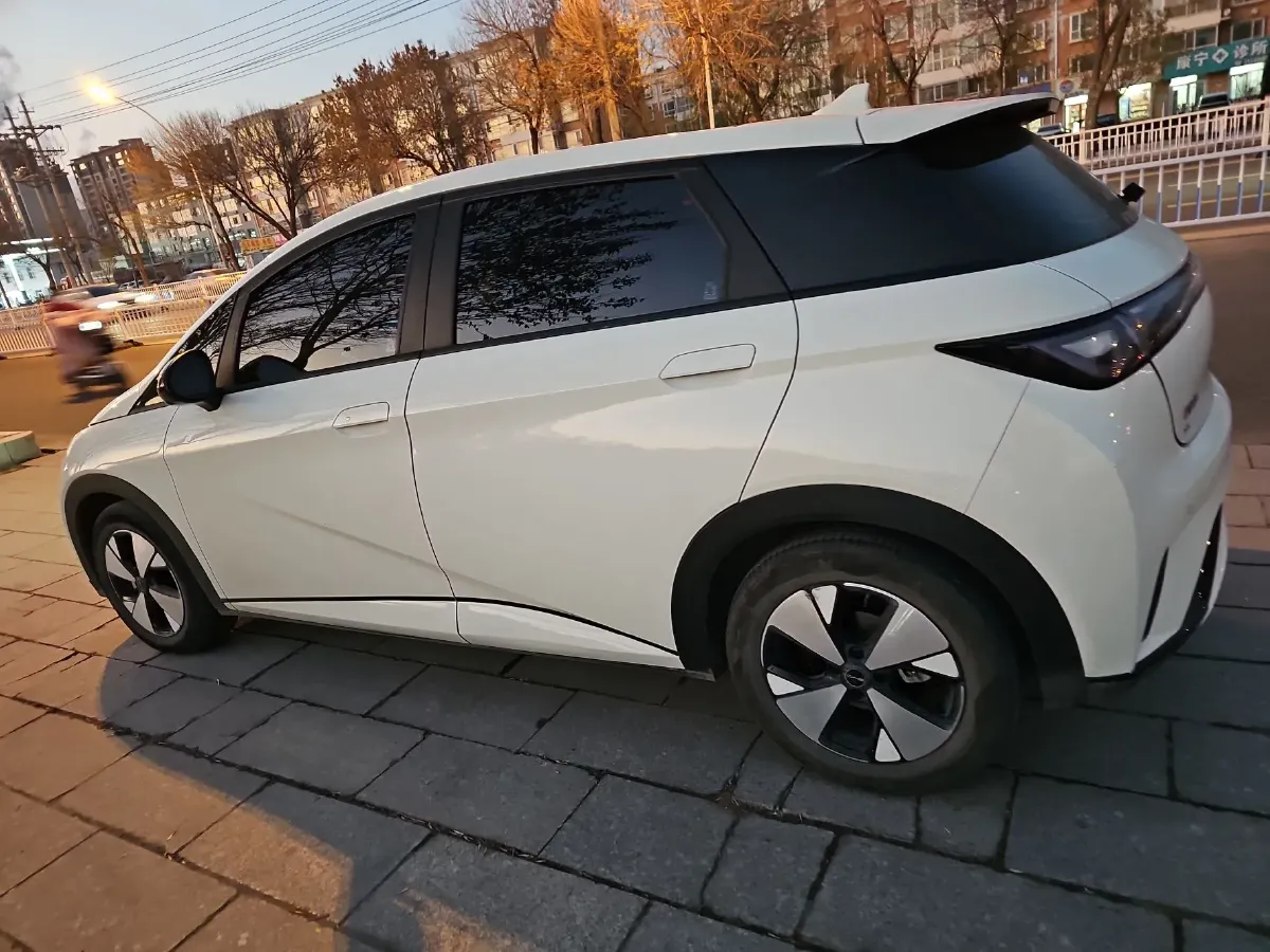 2023 BYD Dolphin BEV 44.928KWH,autocango,china used car exporter,china ev exporter,chinese used car exporter,chinese used ev exporter