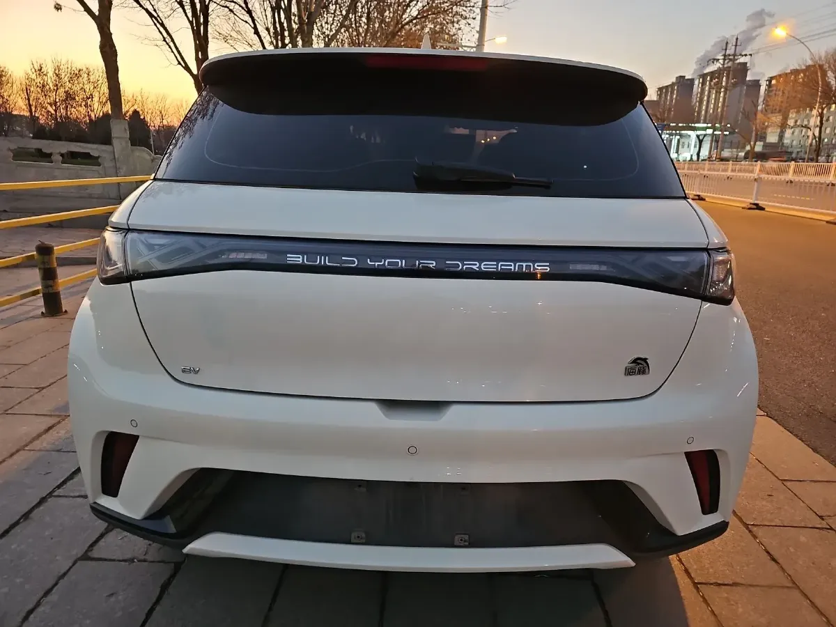 2023 BYD Dolphin BEV 44.928KWH,autocango,china used car exporter,china ev exporter,chinese used car exporter,chinese used ev exporter