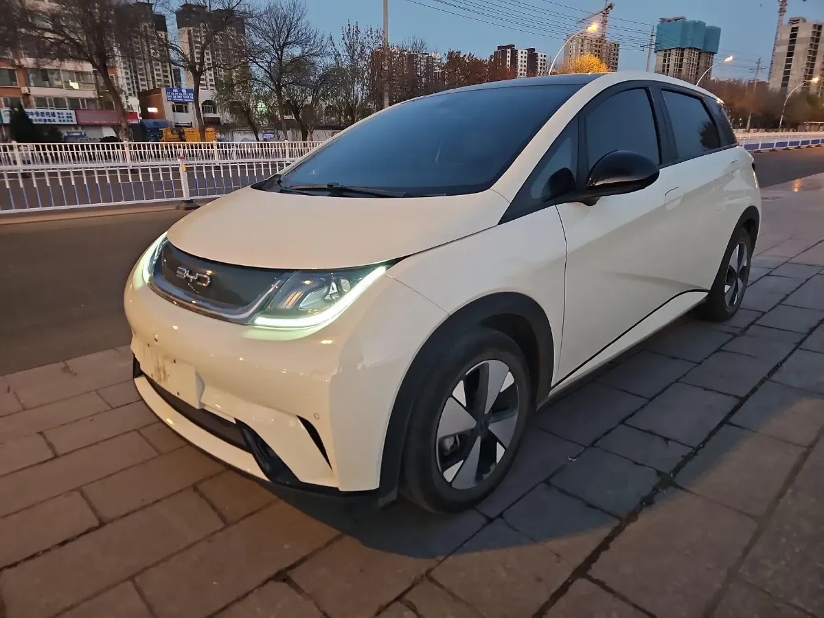 2023 BYD Dolphin BEV 44.928KWH,autocango,china used car exporter,china ev exporter,chinese used car exporter,chinese used ev exporter