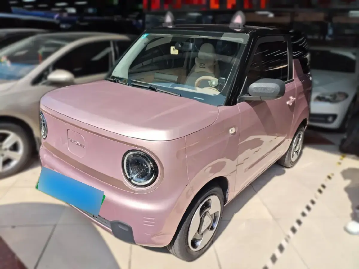 2023 Geely Panda BEV 17.03KWH