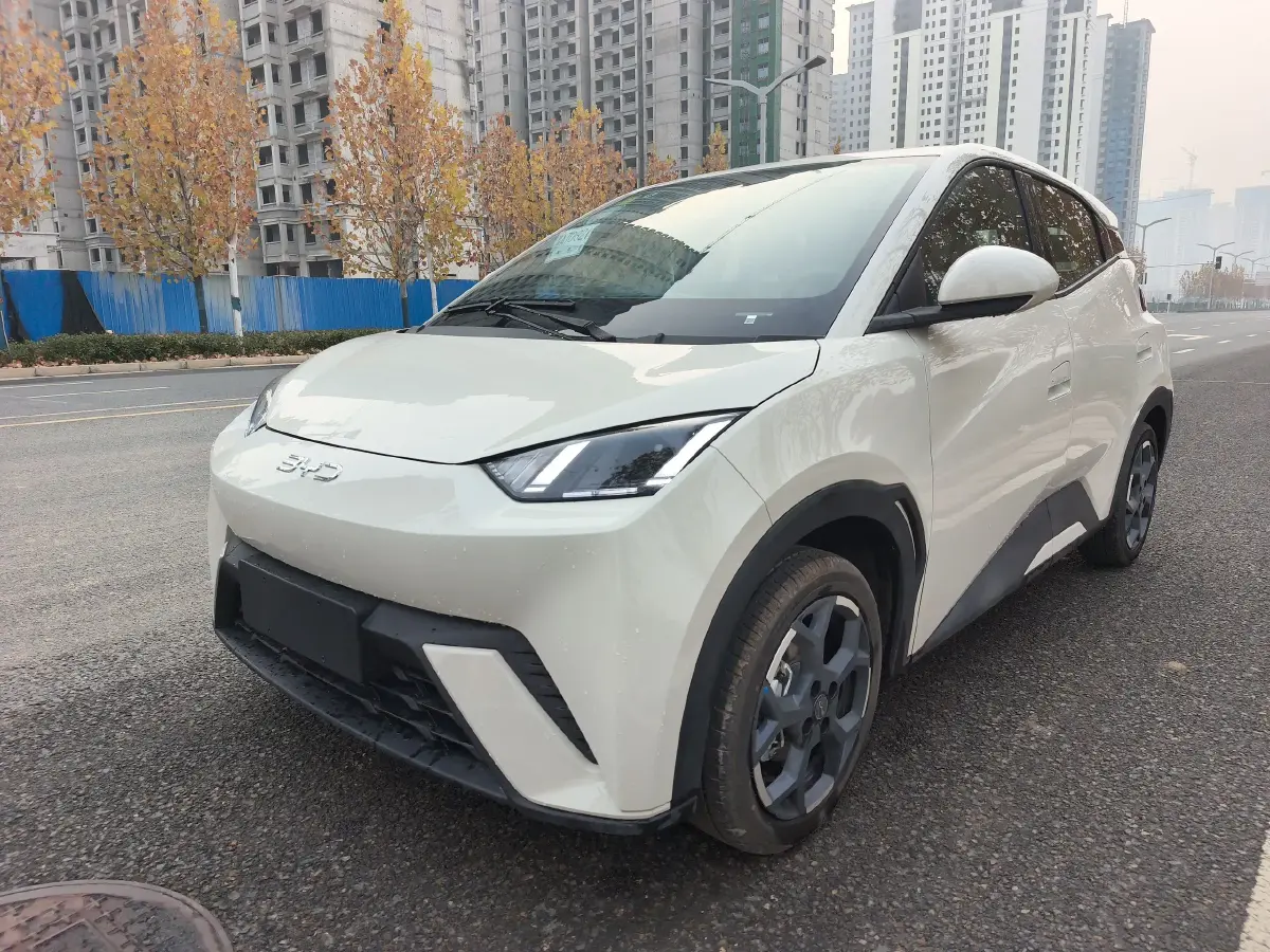 2025 BYD Seagull BEV 30.08KWH