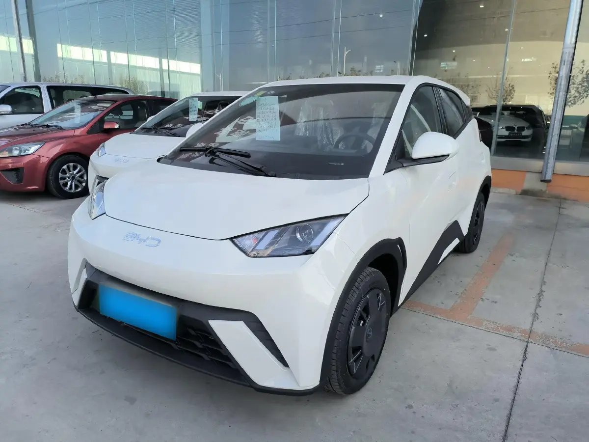 2025 BYD Seagull BEV 30.08KWH