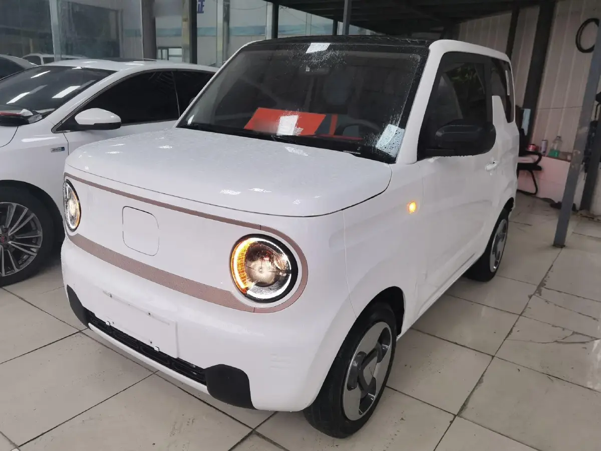 2023 Geely Panda BEV 17.03KWH