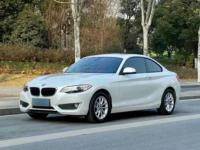 2015 BMW 2 Series 1.5T 136HP L3 8AT