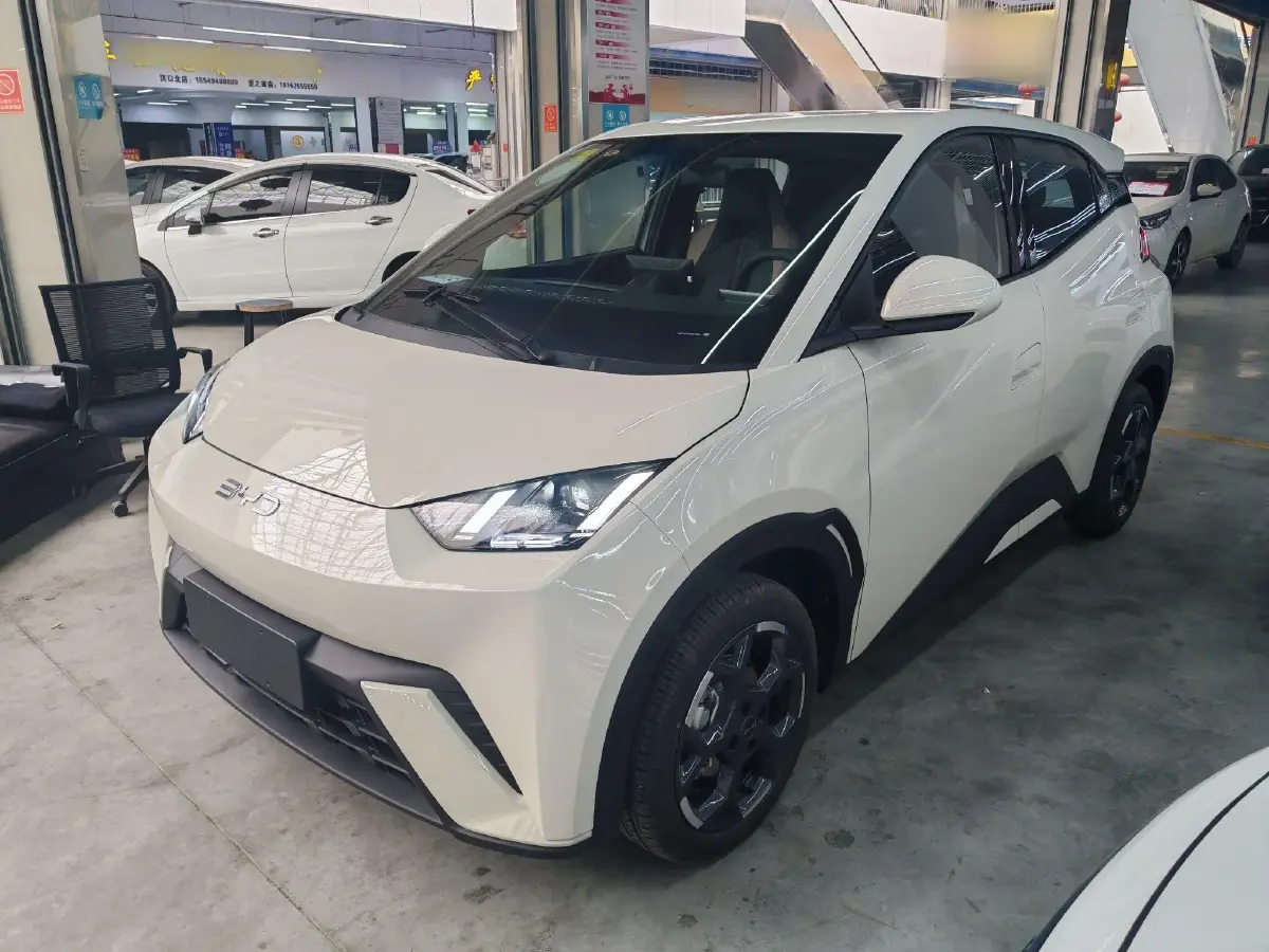 2025 BYD Seagull BEV 30.08KWH