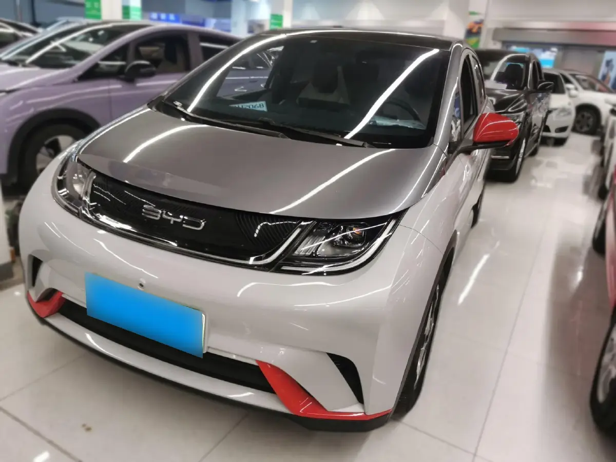 2021 BYD Dolphin BEV 44.9KWH
