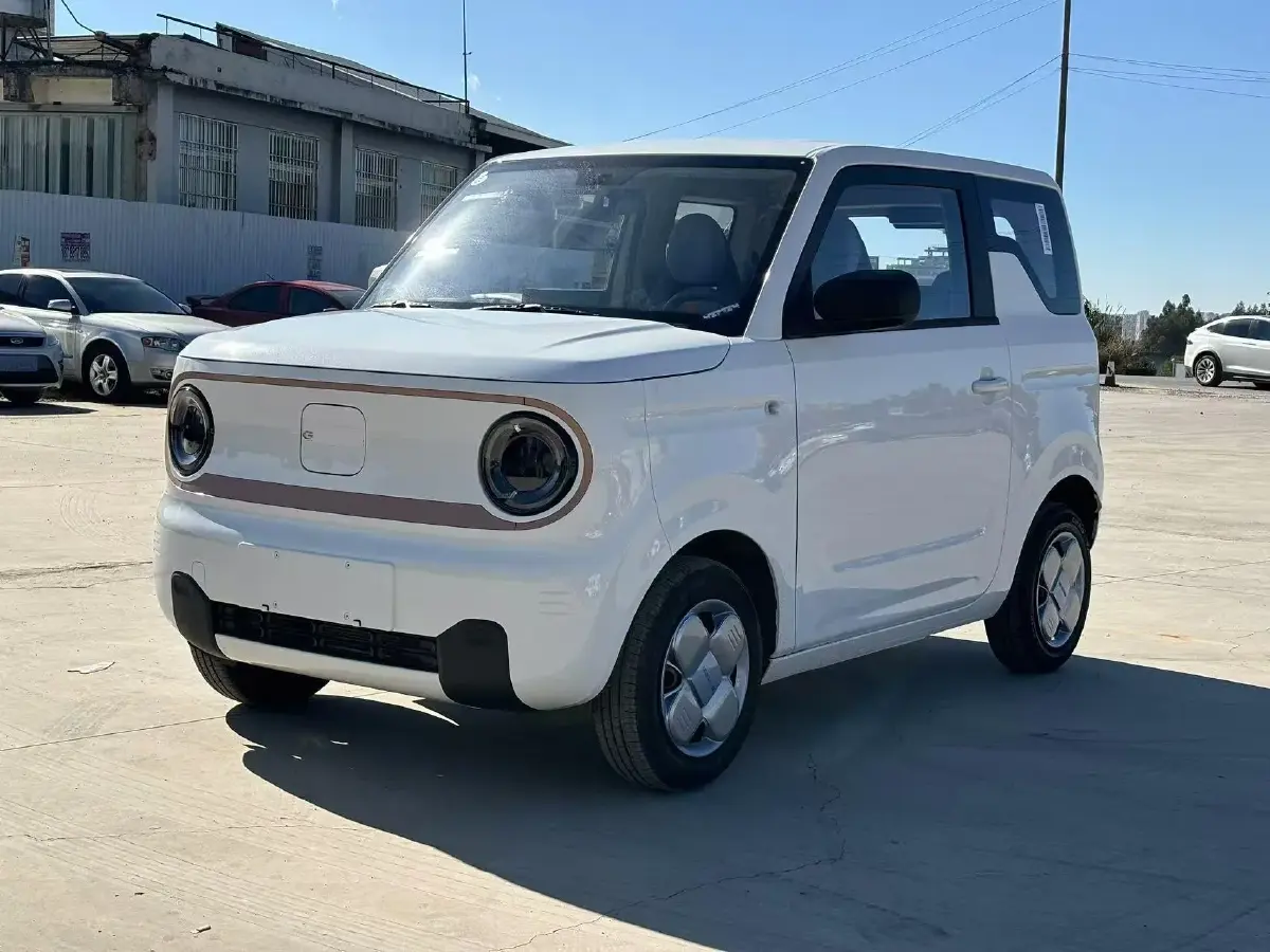 2024 Geely Panda BEV 17.03KWH