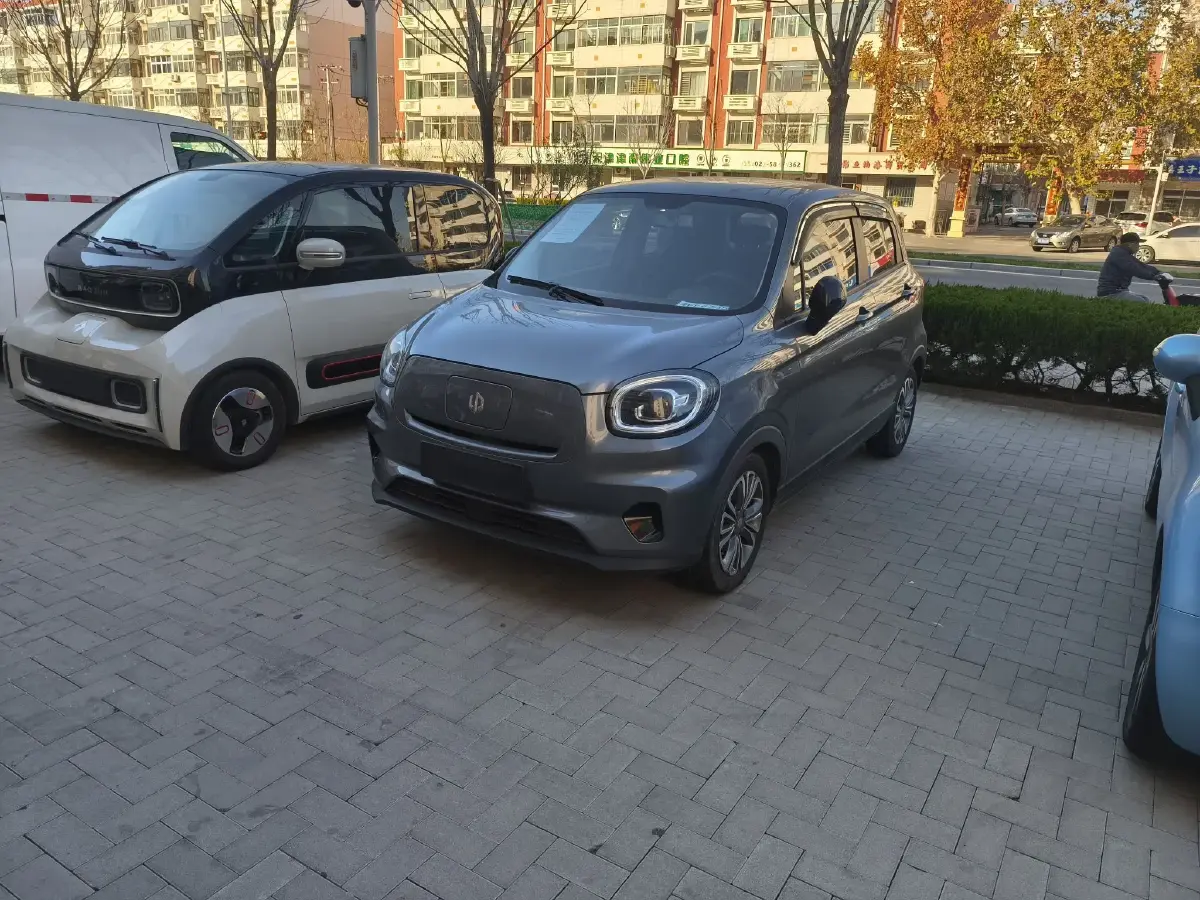 2020 Leapmotor T03 BEV 38KWH