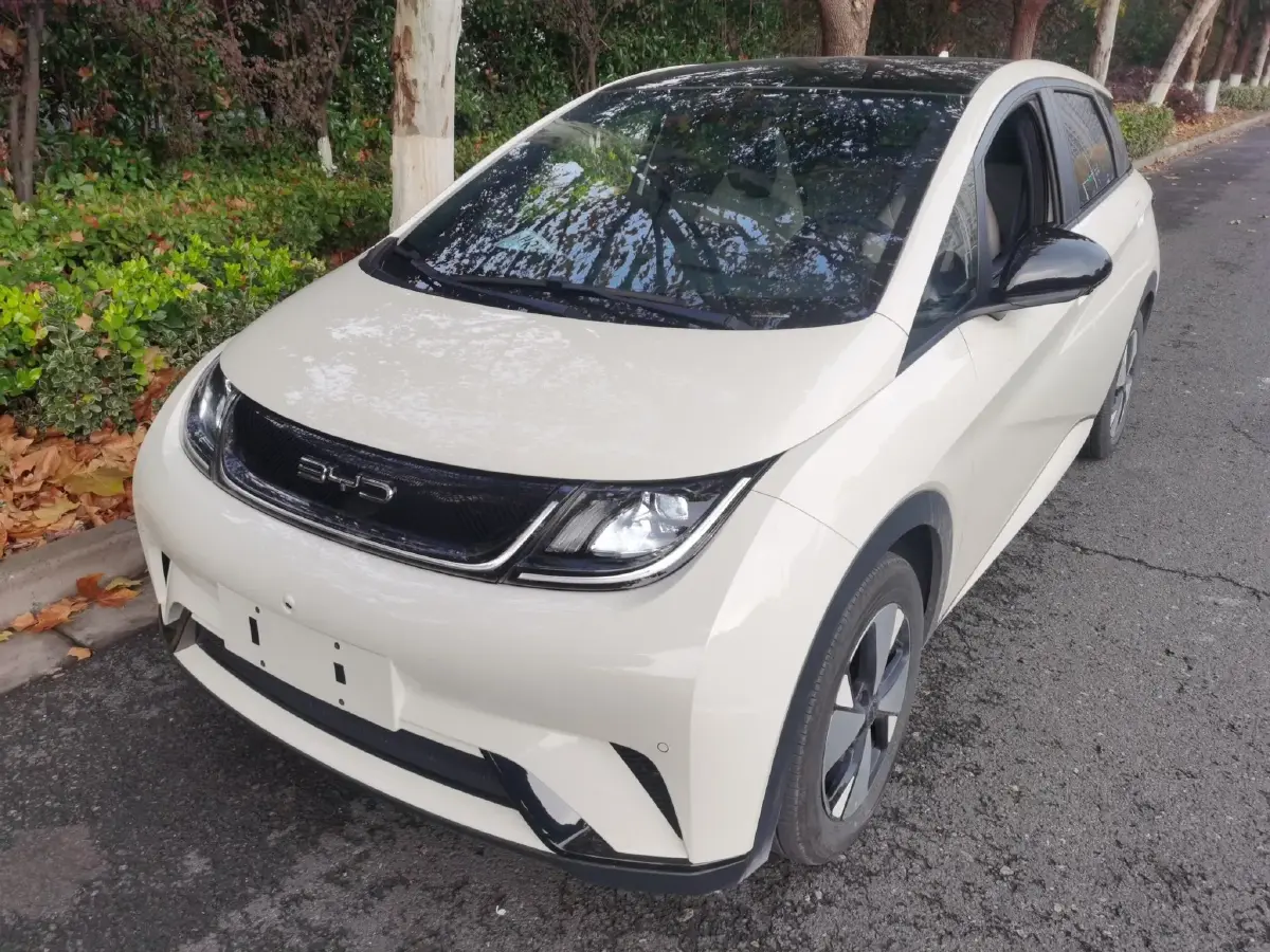 2023 BYD Dolphin BEV 44.928KWH
