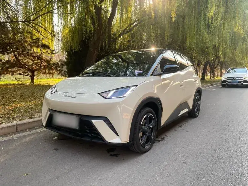 2023 BYD Seagull BEV 30.08KWH