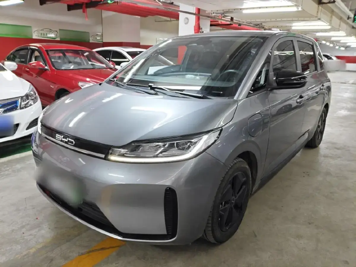 2023 BYD D1 BEV 53.6KWH
