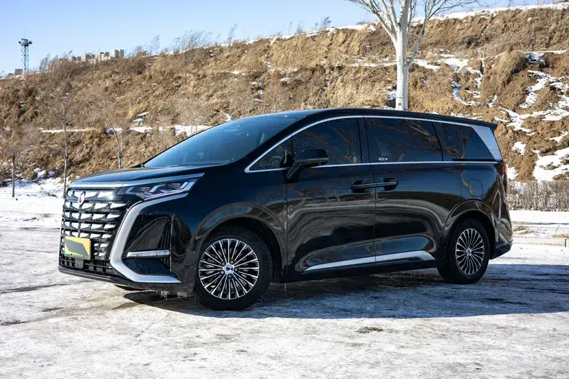 2022 Denza D9 1.5T 139HP L4 E-CVT PHEV 40.06KWH