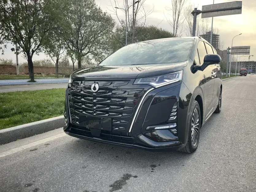 2022 Denza D9 1.5T 139HP L4 E-CVT PHEV 40.06KWH