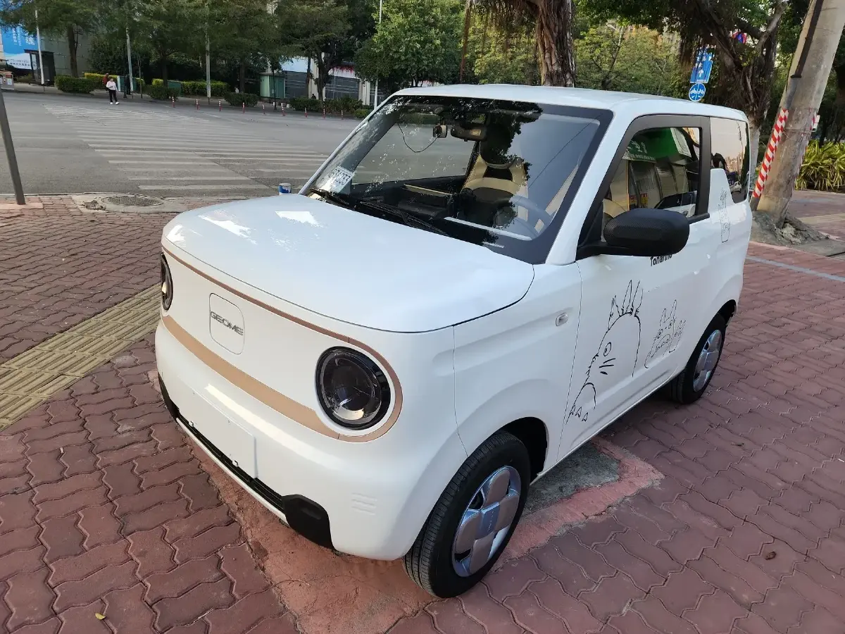 2023 Geely Panda BEV 17.03KWH
