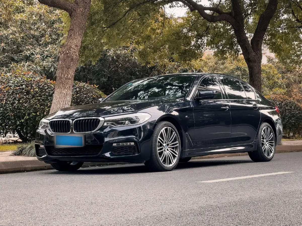 2018 BMW 5 Series 2.0T 252HP L4 8AT