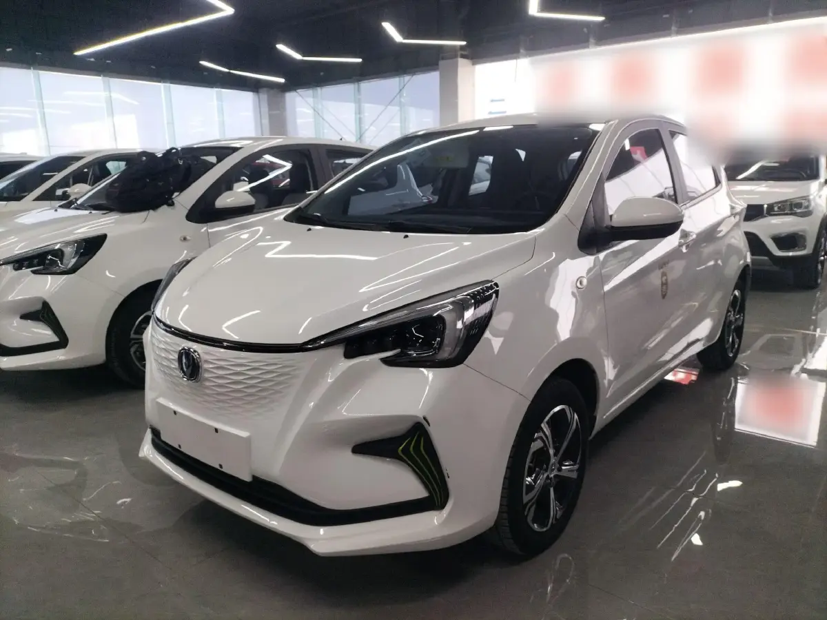 2022 ChangAn BenBen E-Star BEV 31.95KWH