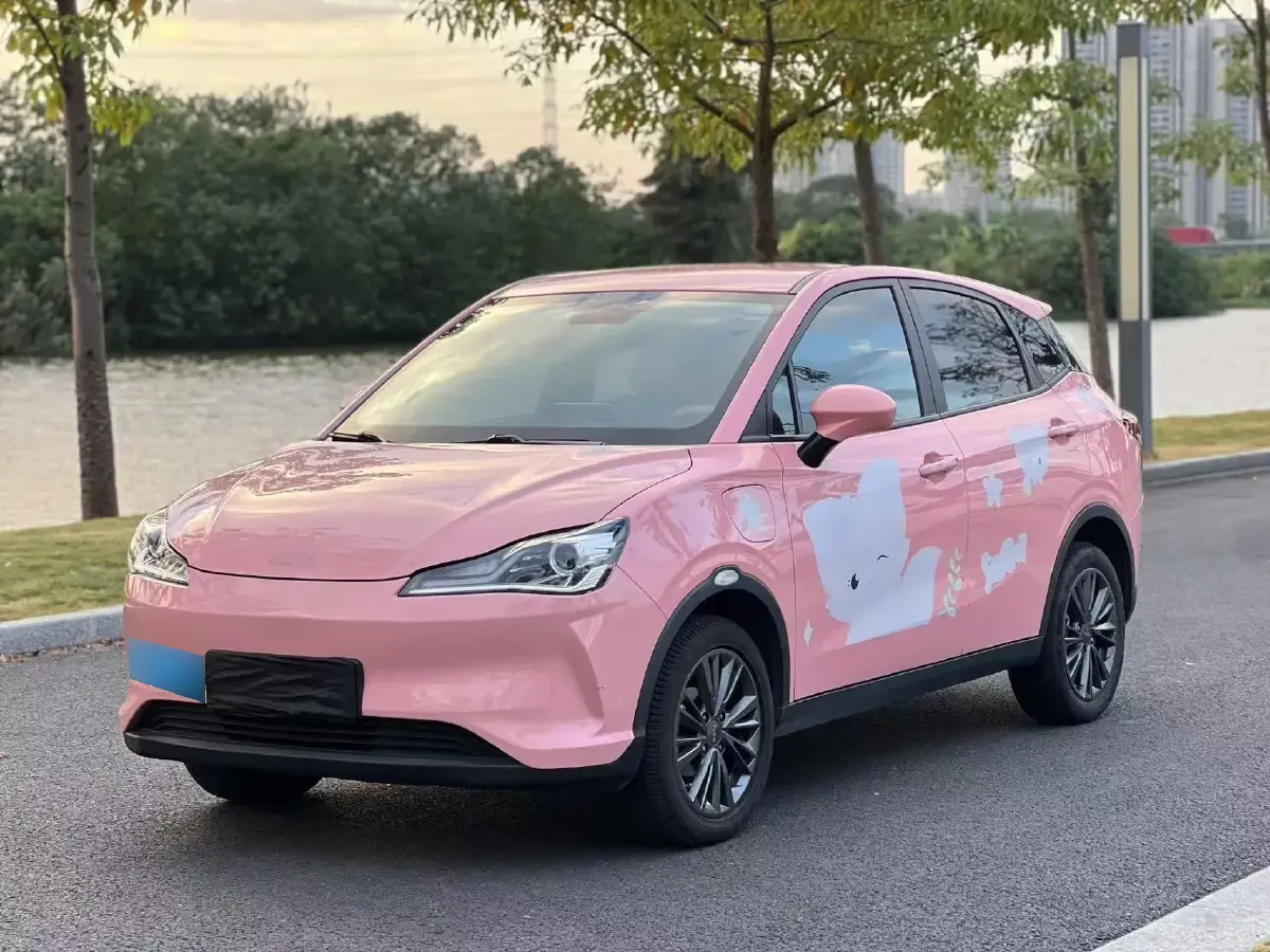 2022 Neta V BEV 38.54KWH